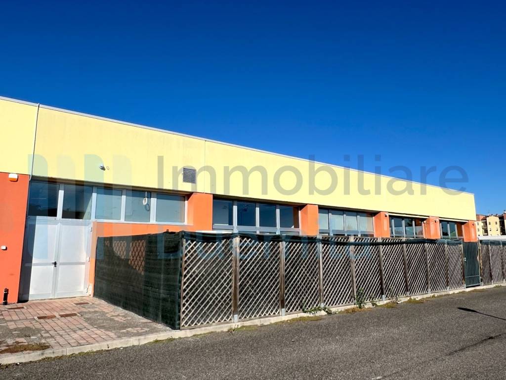 immagine annuncio 6 di 15