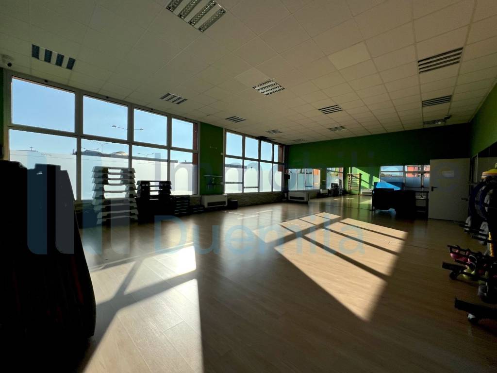 immagine annuncio 11 di 15