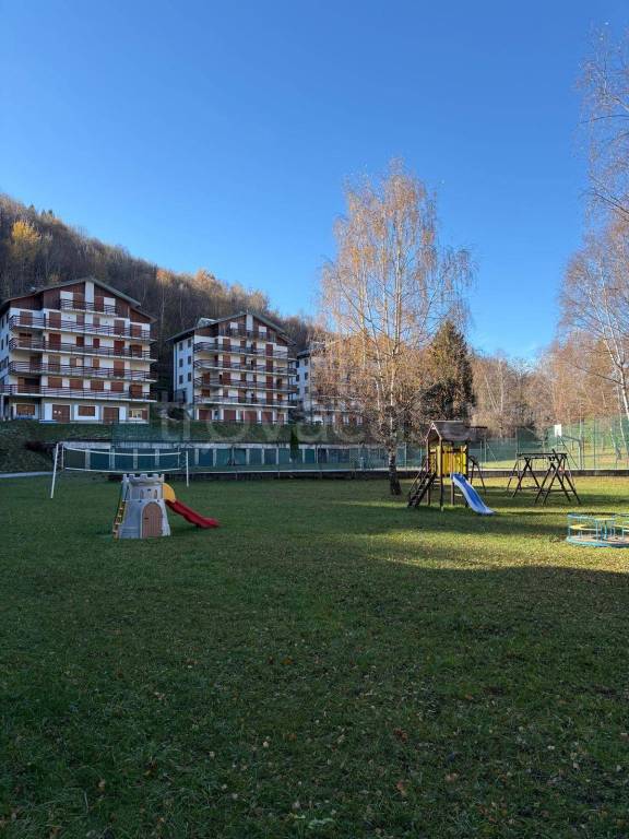 immagine annuncio 12 di 15