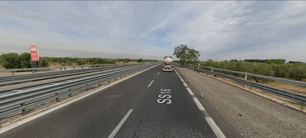 immagine annuncio 2 di 12