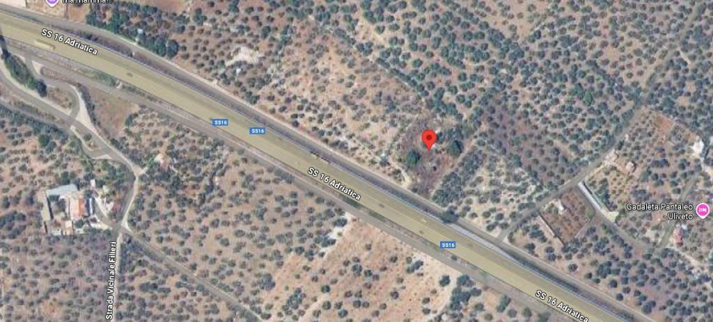 immagine annuncio 8 di 12