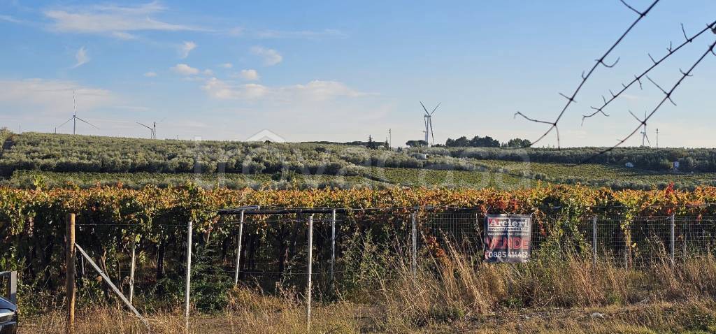 immagine annuncio 5 di 12