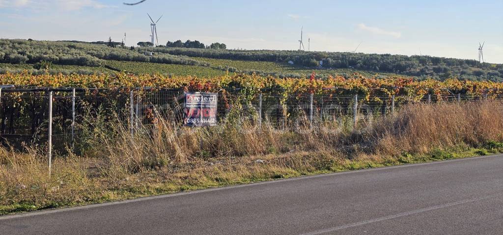 immagine annuncio 8 di 12