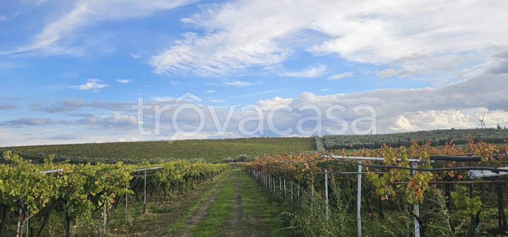 immagine annuncio 9 di 12