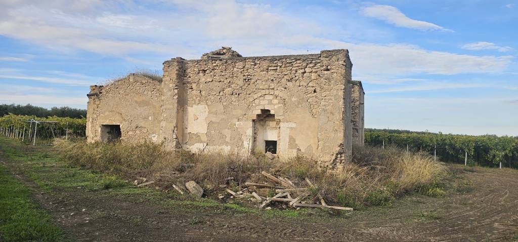 immagine annuncio 10 di 12