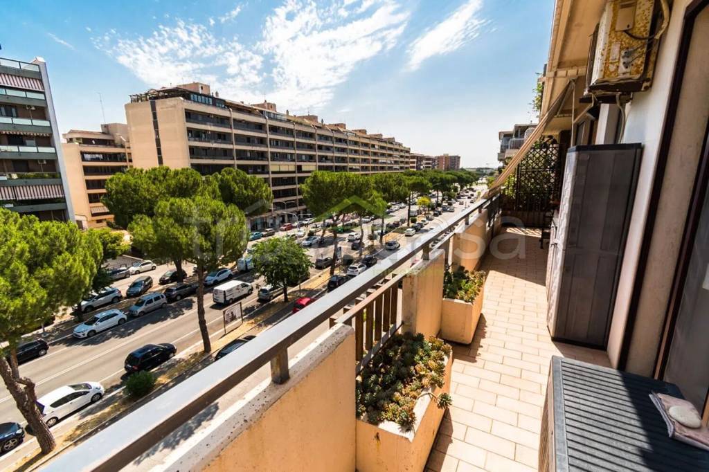 immagine annuncio 5 di 14