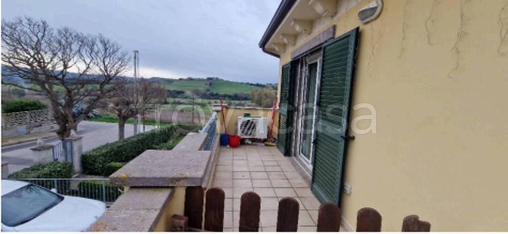 immagine annuncio 7 di 12