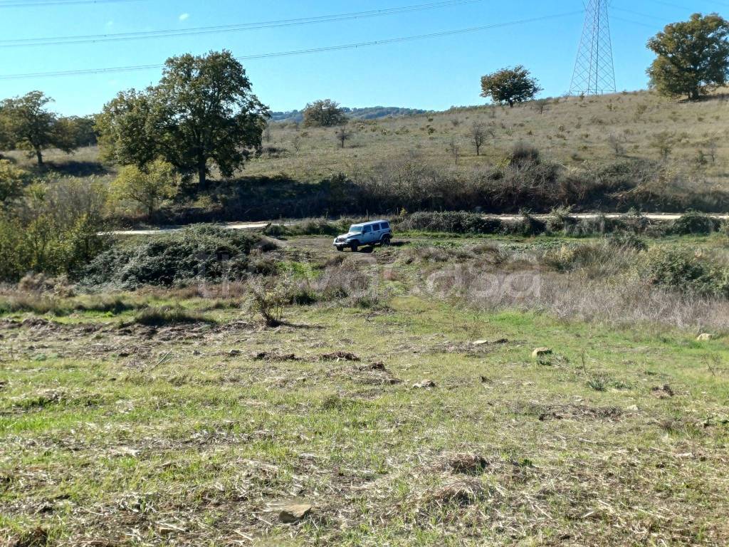 immagine annuncio 4 di 7