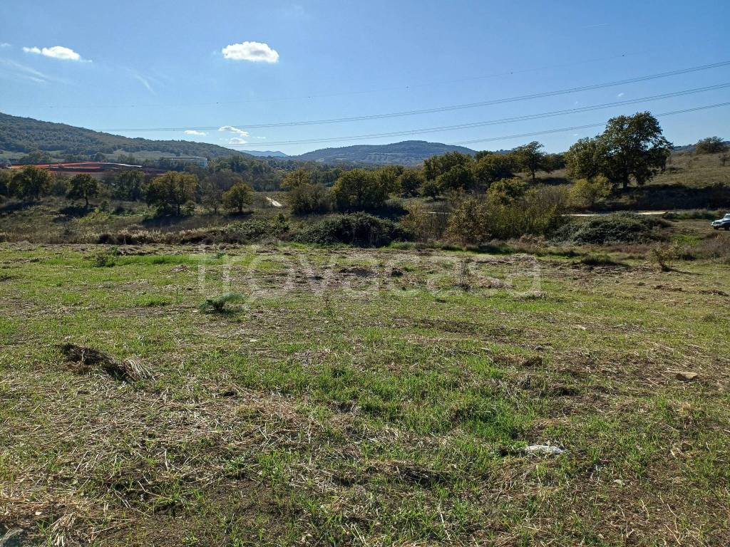 immagine annuncio 5 di 7