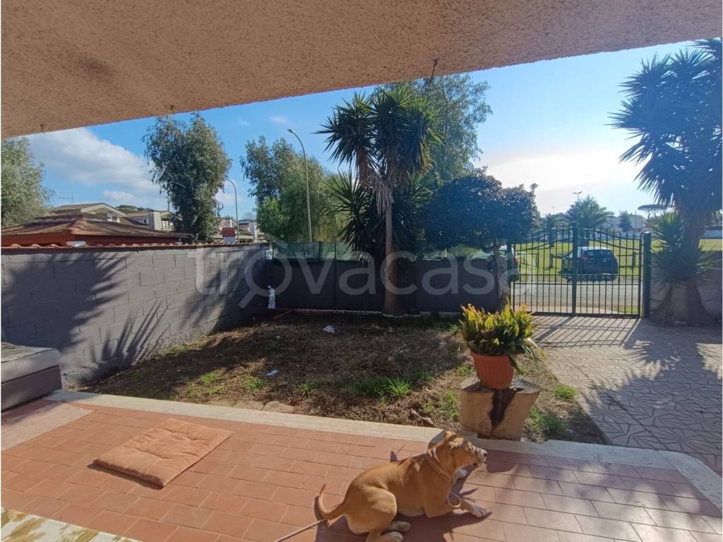 immagine annuncio 5 di 14