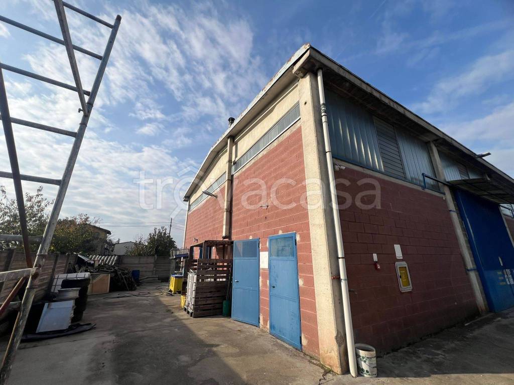 immagine annuncio 2 di 15