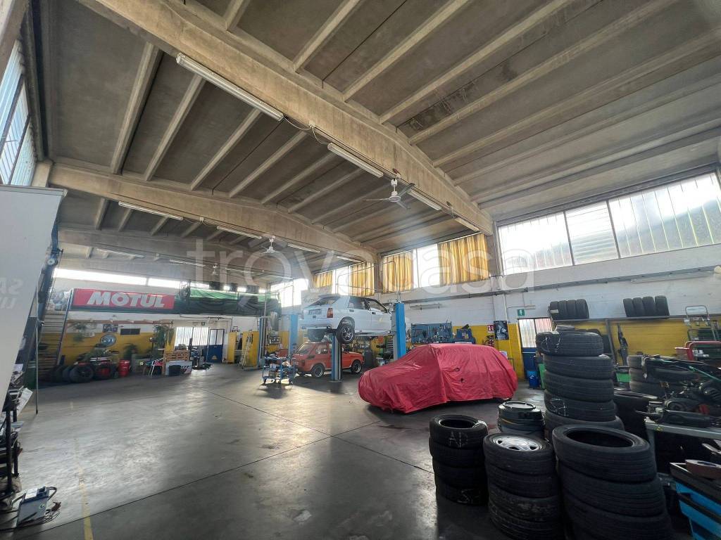 immagine annuncio 11 di 15