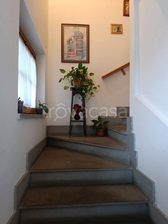 immagine annuncio 11 di 14