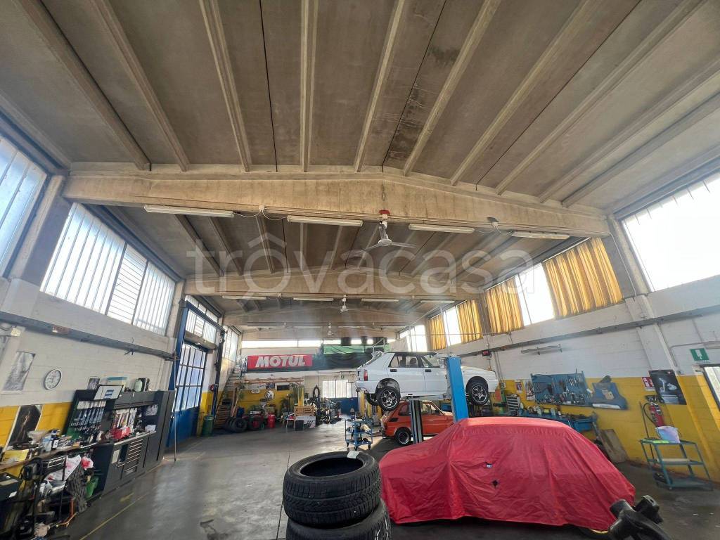 immagine annuncio 12 di 15