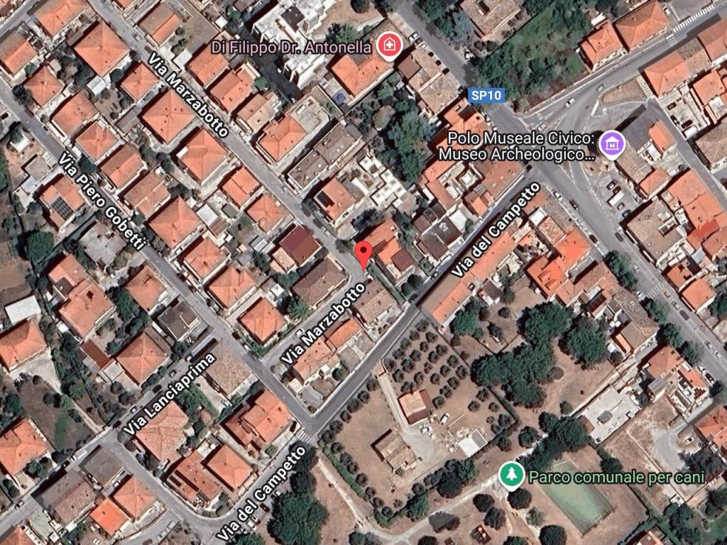 immagine annuncio 1 di 11