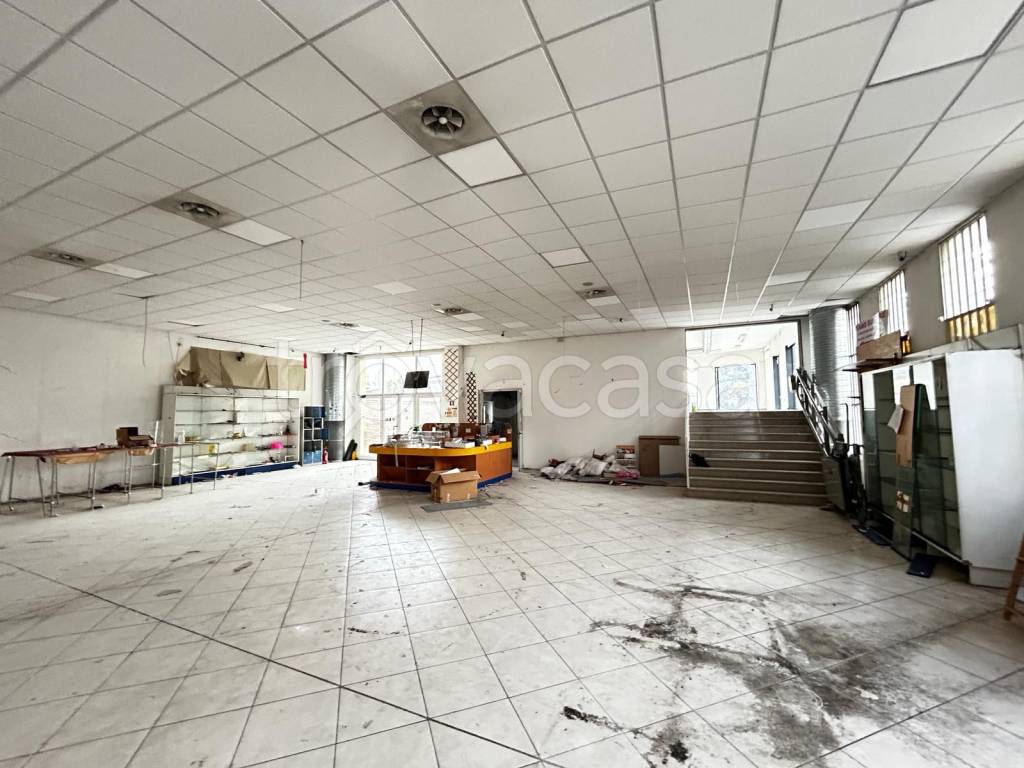 immagine annuncio 5 di 15