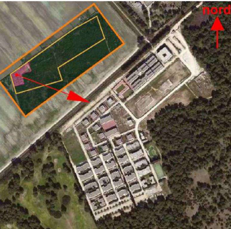 immagine annuncio 9 di 11