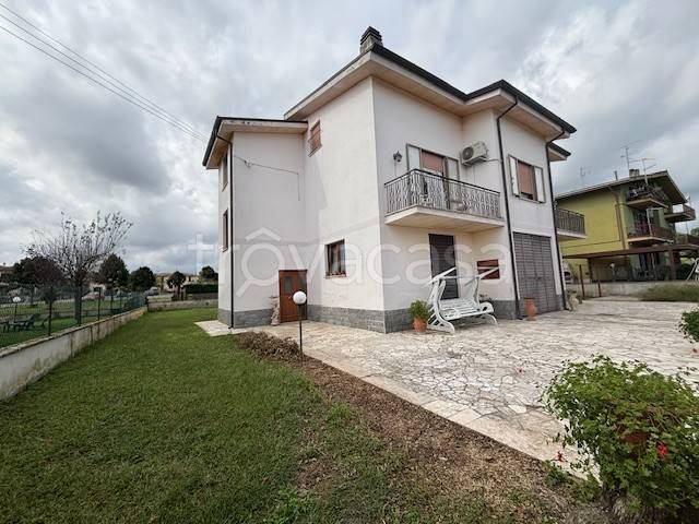 immagine annuncio 12 di 13