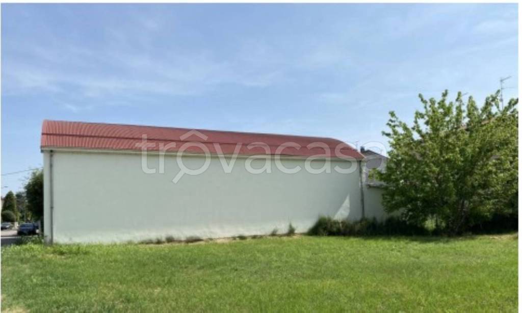 immagine annuncio 4 di 11