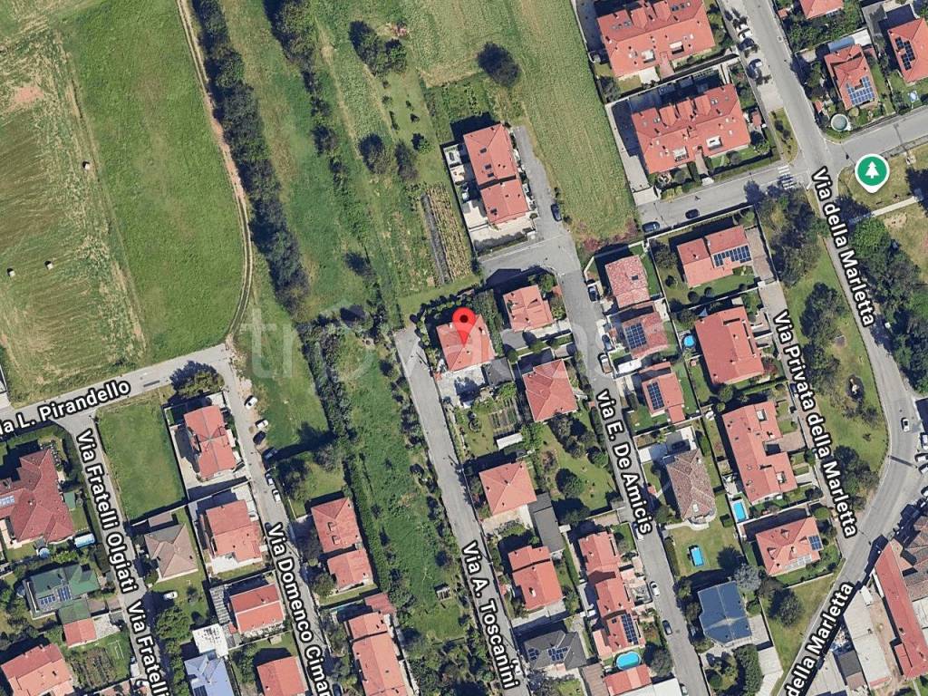 immagine annuncio 1 di 11