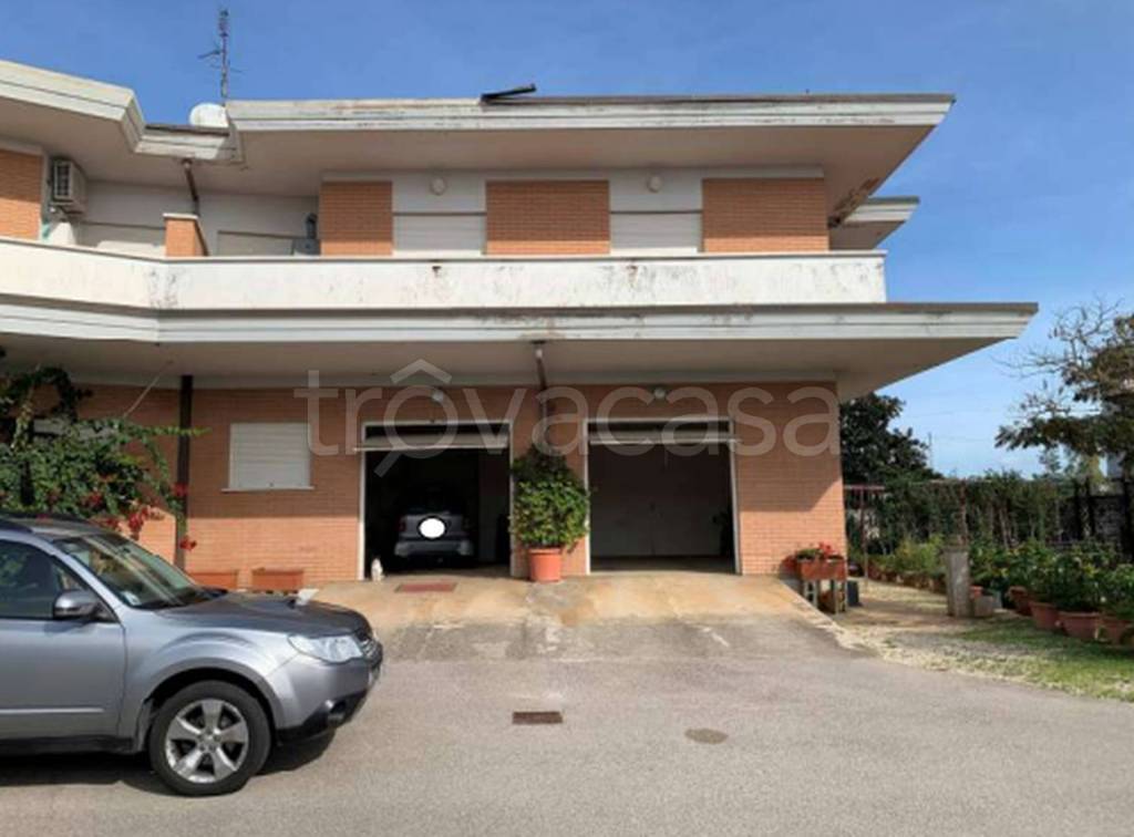 immagine annuncio 6 di 12