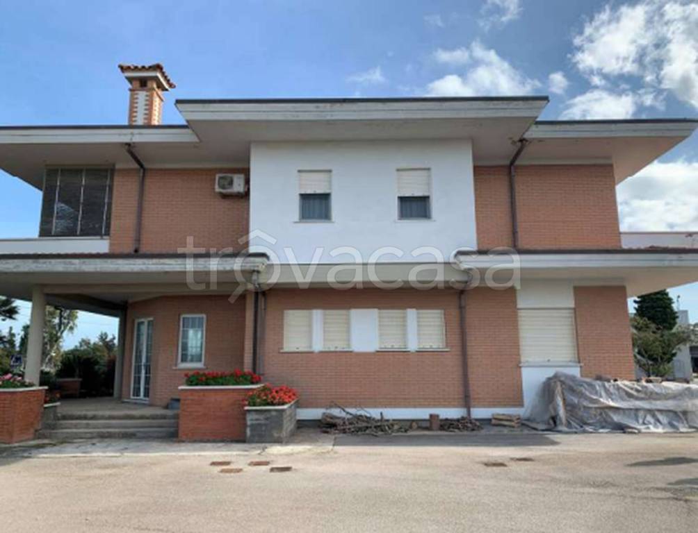 immagine annuncio 8 di 12