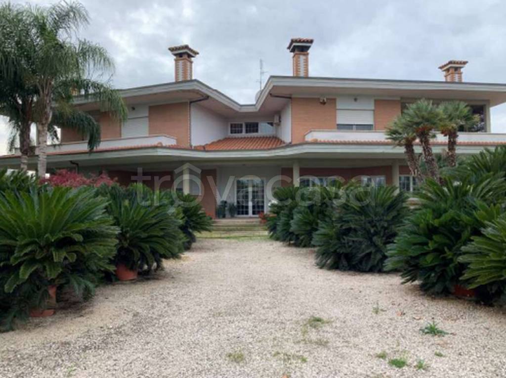 immagine annuncio 11 di 12