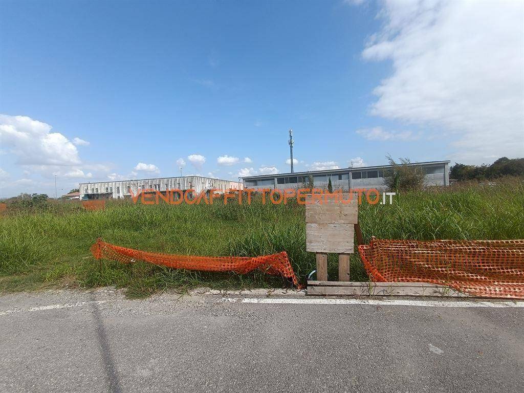 immagine annuncio 5 di 7