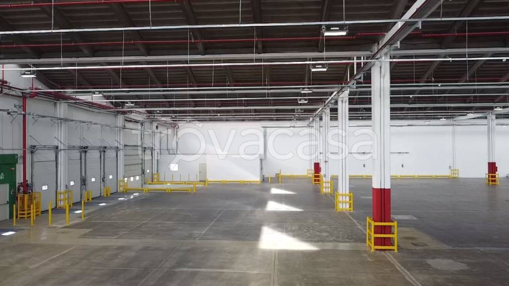 immagine annuncio 6 di 11