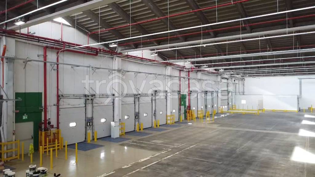 immagine annuncio 7 di 11