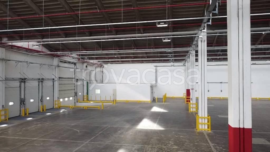 immagine annuncio 8 di 11