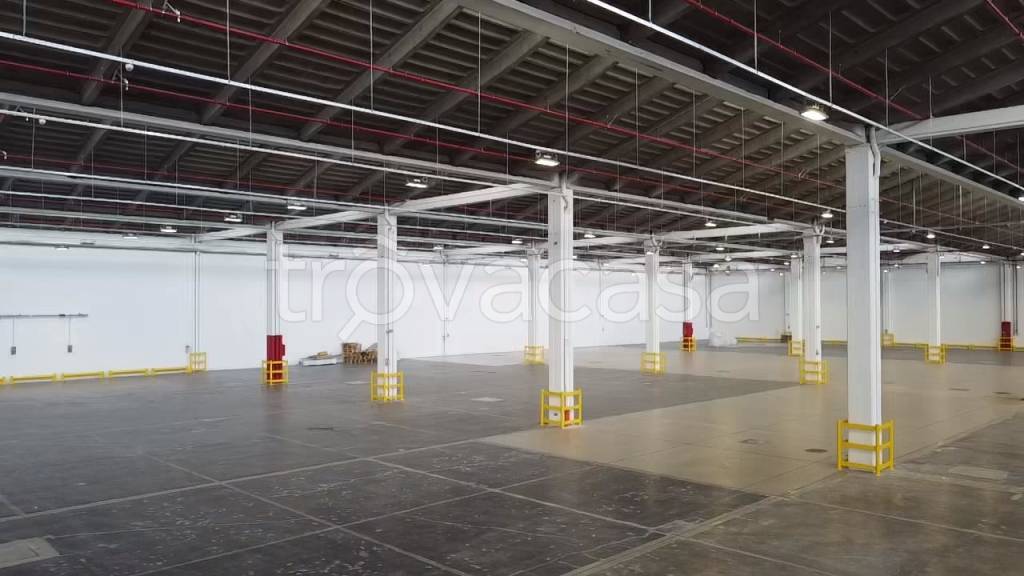 immagine annuncio 9 di 11