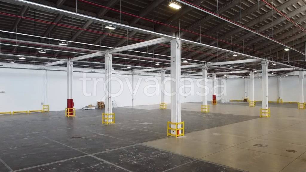 immagine annuncio 10 di 11