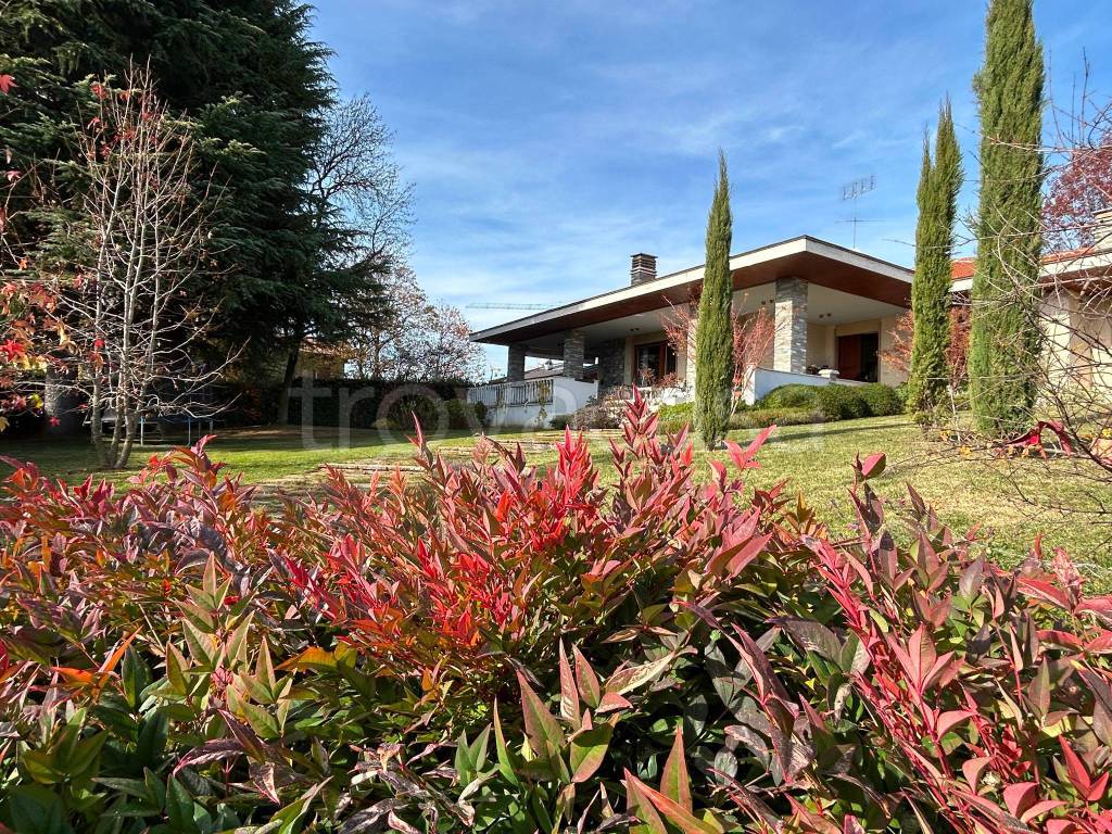 immagine annuncio 13 di 14