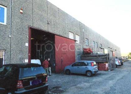 immagine annuncio 1 di 12