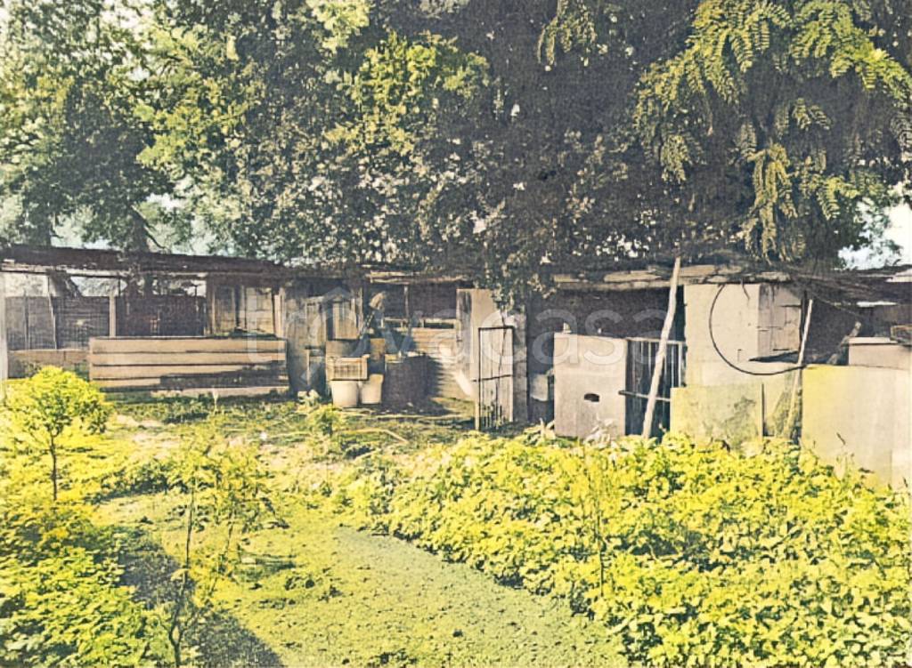 immagine annuncio 4 di 12