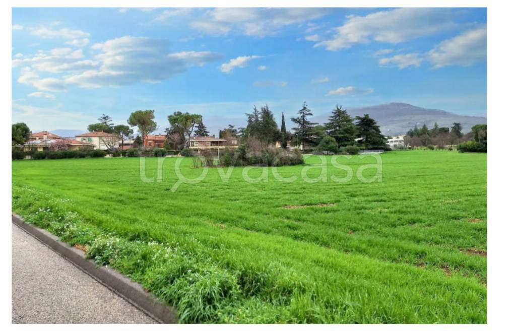 immagine annuncio 8 di 11