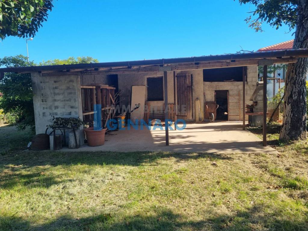 immagine annuncio 6 di 12