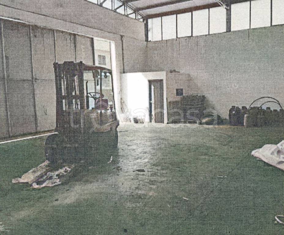 immagine annuncio 4 di 14