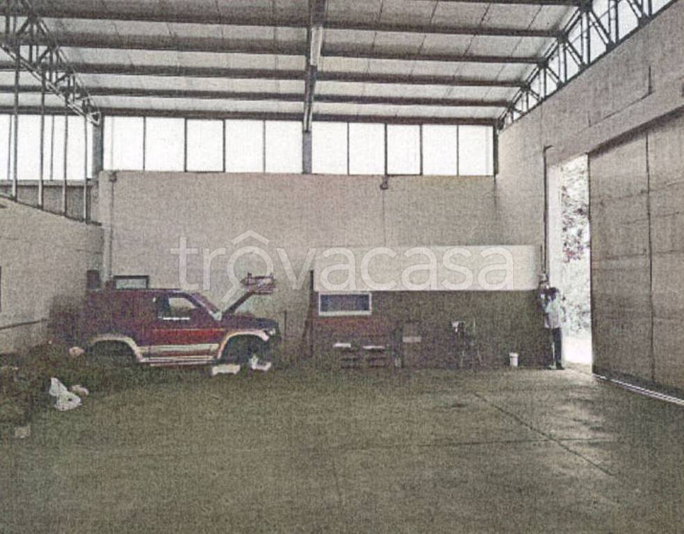 immagine annuncio 5 di 14