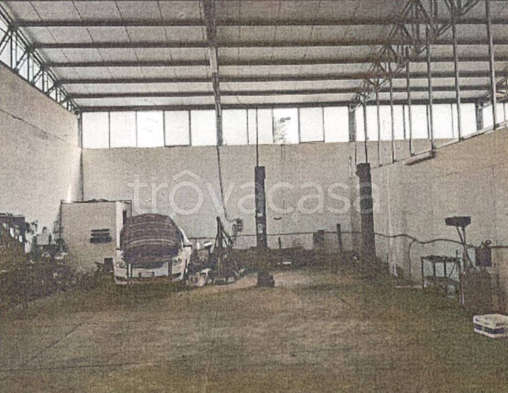 immagine annuncio 6 di 14