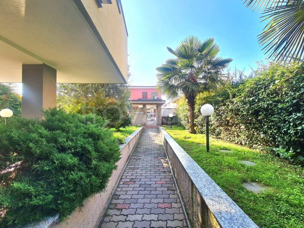 immagine annuncio 1 di 12