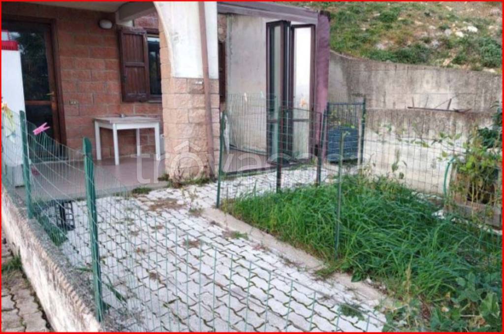 immagine annuncio 1 di 12