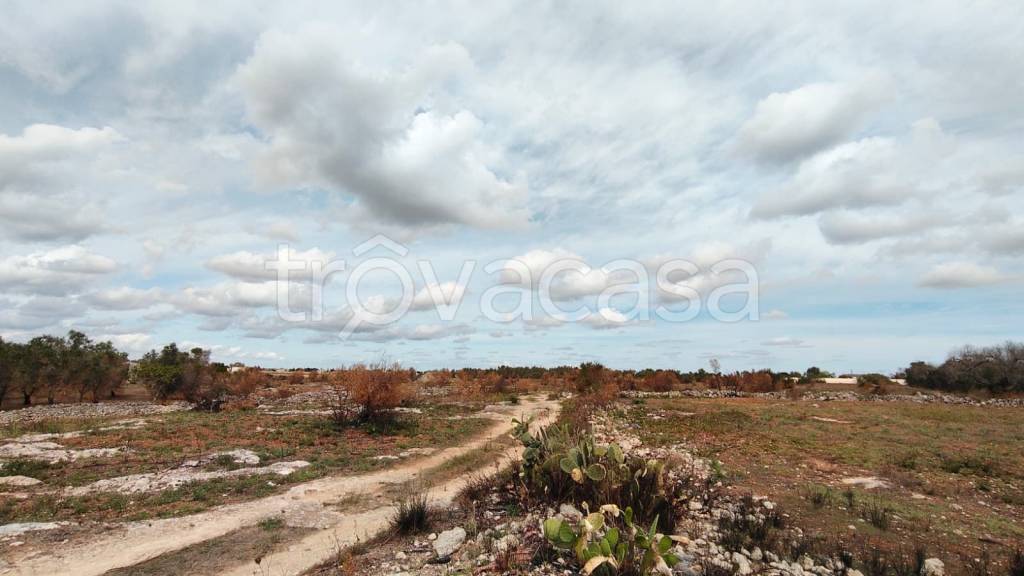 immagine annuncio 1 di 2