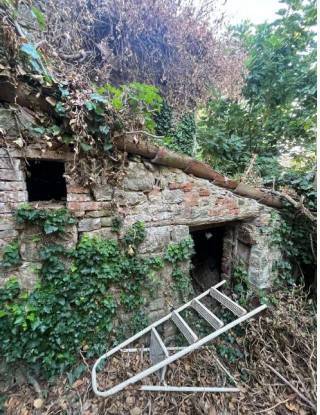 immagine annuncio 2 di 13