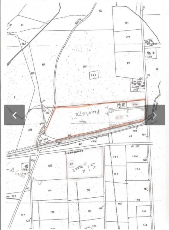 immagine annuncio 2 di 10