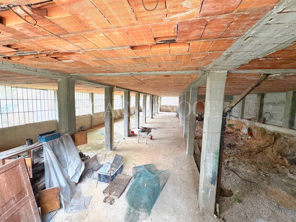 immagine annuncio 1 di 11