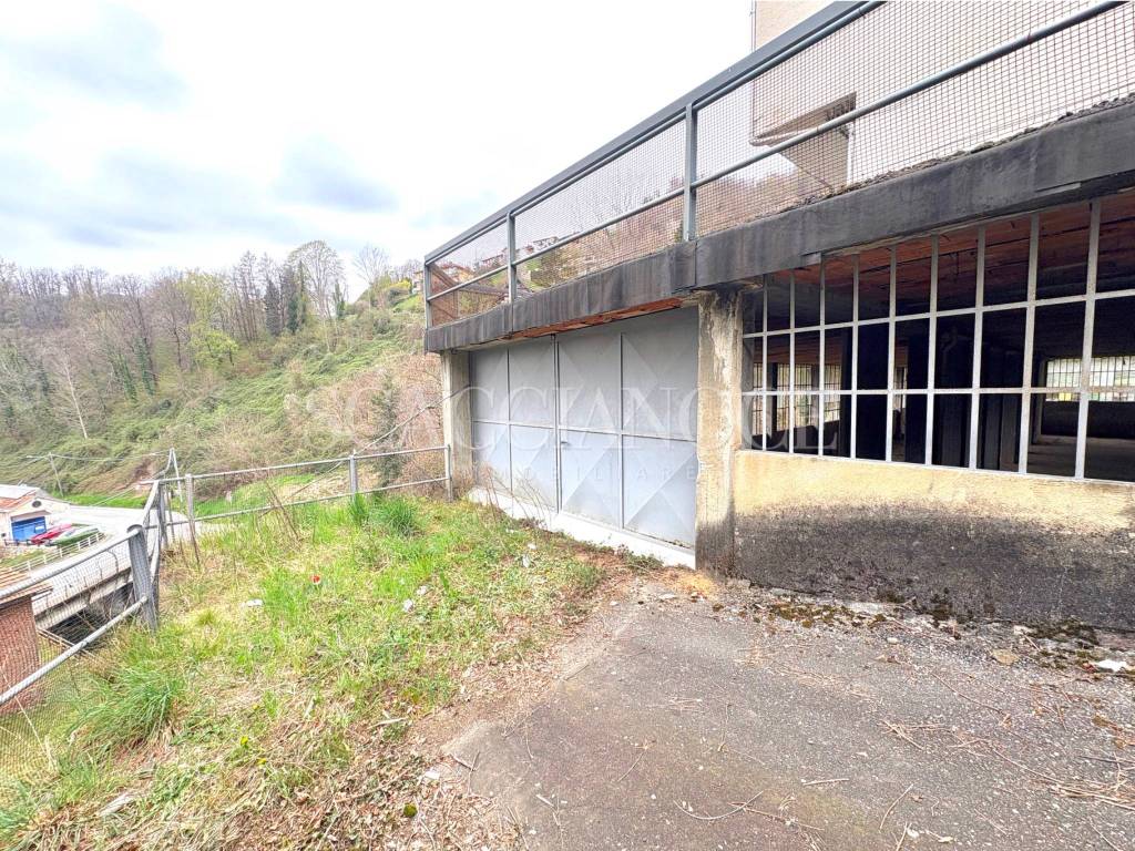 immagine annuncio 4 di 11