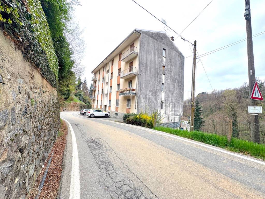 immagine annuncio 5 di 11