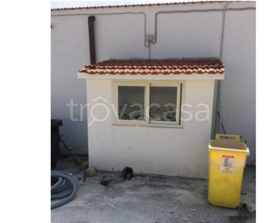 immagine annuncio 2 di 12